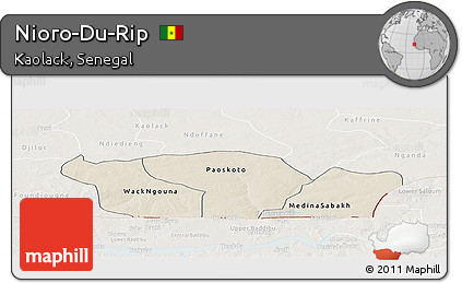 Shaded Relief Panoramic Map of Nioro-Du-Rip, lighten