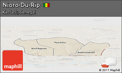 Shaded Relief Panoramic Map of Nioro-Du-Rip, lighten
