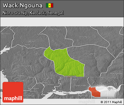 Physical 3D Map of Wack Ngouna, desaturated