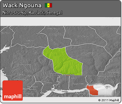 Physical 3D Map of Wack Ngouna, desaturated