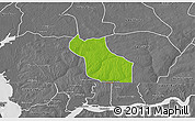Physical 3D Map of Wack Ngouna, desaturated
