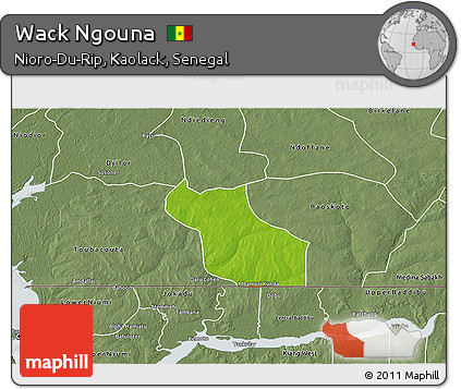 Physical 3D Map of Wack Ngouna, semi-desaturated