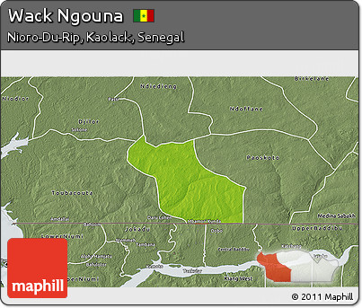 Physical 3D Map of Wack Ngouna, semi-desaturated