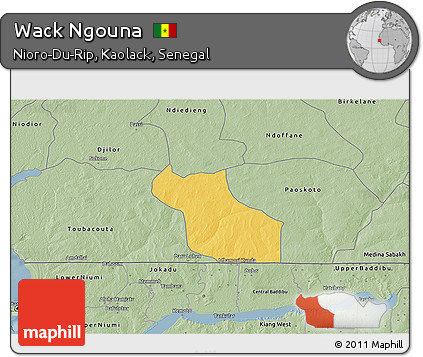 Savanna Style 3D Map of Wack Ngouna