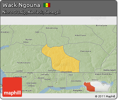 Savanna Style 3D Map of Wack Ngouna