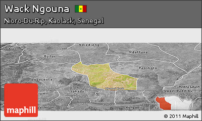 Satellite Panoramic Map of Wack Ngouna, desaturated