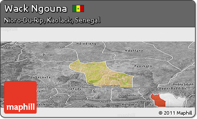 Satellite Panoramic Map of Wack Ngouna, desaturated
