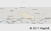 Shaded Relief Panoramic Map of Wack Ngouna, semi-desaturated