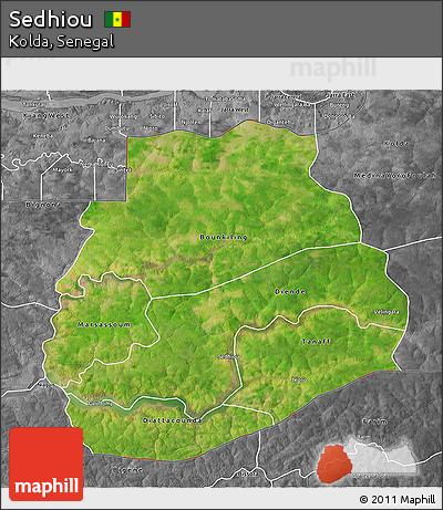 Satellite 3D Map of Sedhiou, desaturated
