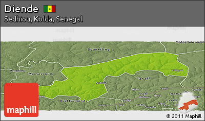 Physical Panoramic Map of Diende, semi-desaturated