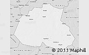 Silver Style Map of Barkedji