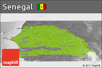Physical Panoramic Map of Senegal, desaturated