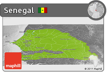 Physical Panoramic Map of Senegal, desaturated