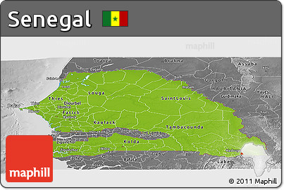 Physical Panoramic Map of Senegal, desaturated