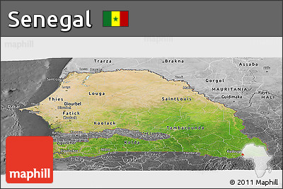 Satellite Panoramic Map of Senegal, desaturated