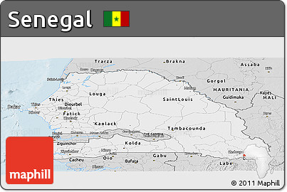 Silver Style Panoramic Map of Senegal