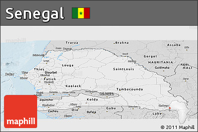 Silver Style Panoramic Map of Senegal