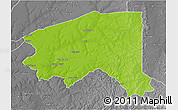 Physical 3D Map of Bala, desaturated