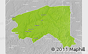 Physical 3D Map of Bala, lighten, desaturated