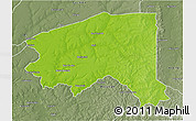 Physical 3D Map of Bala, semi-desaturated
