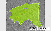 Physical Map of Bala, desaturated