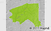 Physical Map of Bala, lighten, desaturated