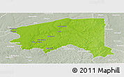Physical Panoramic Map of Bala, lighten, semi-desaturated