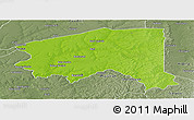 Physical Panoramic Map of Bala, semi-desaturated