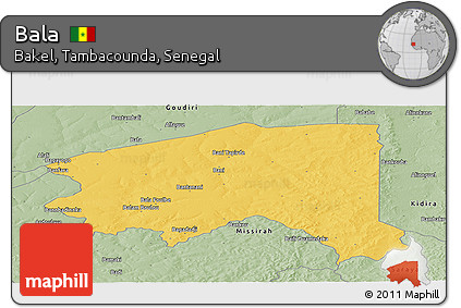 Savanna Style Panoramic Map of Bala