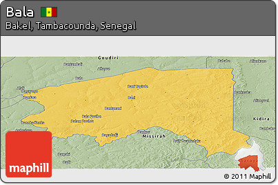 Savanna Style Panoramic Map of Bala