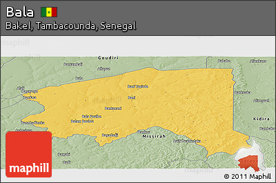 Savanna Style Panoramic Map of Bala