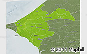 Physical Panoramic Map of Thies, semi-desaturated