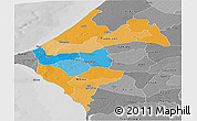 Political Panoramic Map of Thies, desaturated