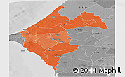 Political Shades Panoramic Map of Thies, desaturated