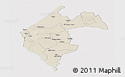 Shaded Relief Panoramic Map of Thies, cropped outside