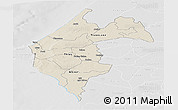 Shaded Relief Panoramic Map of Thies, lighten, desaturated