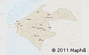 Shaded Relief Panoramic Map of Thies, lighten