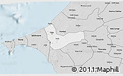 Silver Style 3D Map of Pout