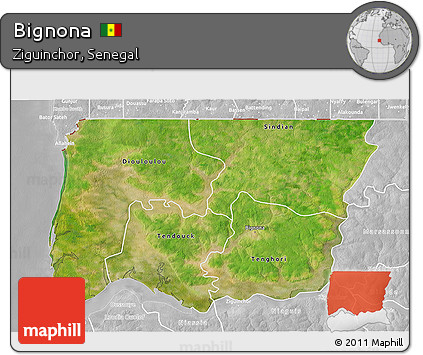 Satellite 3D Map of Bignona, lighten, desaturated