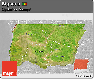 Satellite 3D Map of Bignona, lighten, desaturated