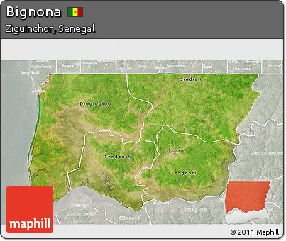 Satellite 3D Map of Bignona, lighten, semi-desaturated