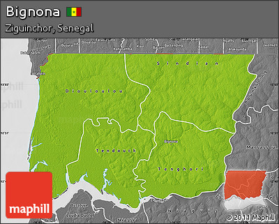 Physical Map of Bignona, desaturated