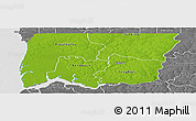 Physical Panoramic Map of Bignona, desaturated