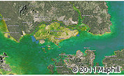 Satellite 3D Map of Singapore, semi-desaturated, land only