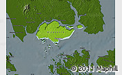 Physical Map of Singapore, darken