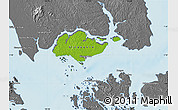 Physical Map of Singapore, desaturated, land only
