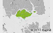 Physical Map of Singapore, lighten, desaturated
