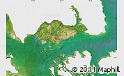 Satellite Map of Singapore, single color outside