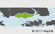 Physical Panoramic Map of Singapore, darken, desaturated, land only