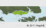 Physical Panoramic Map of Singapore, darken, semi-desaturated, land only